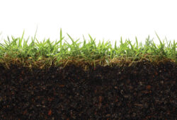 grass and soil represent sustainable living