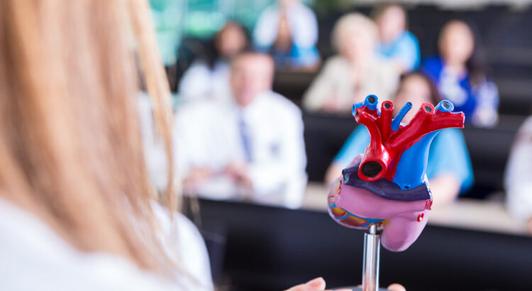 Medical professor using human heart model to teach college class