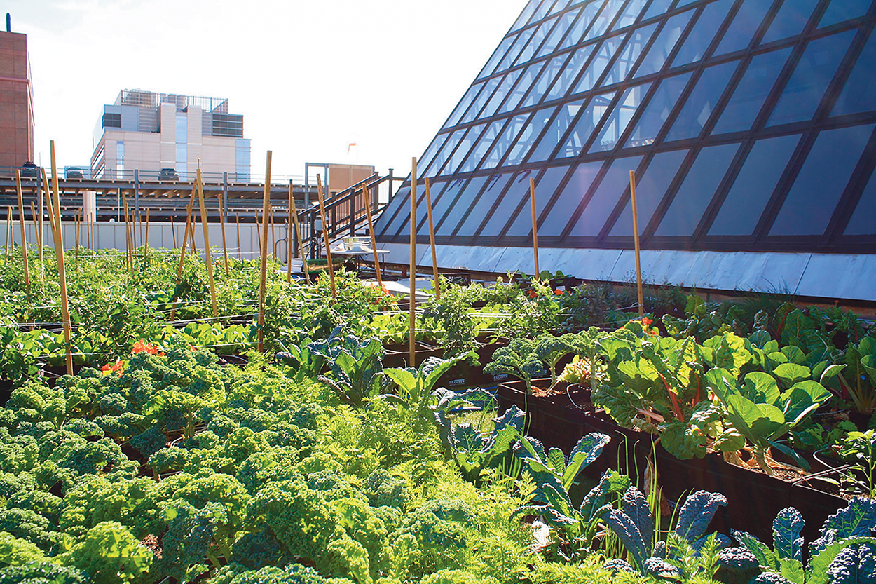 Key Initiatives From the Most Sustainable Hospitals HealthTrust Performance Improvement For