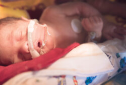 NICU baby is calm inside his isolette.