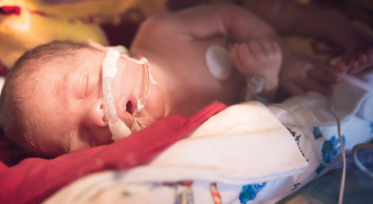 NICU baby is calm inside his isolette.